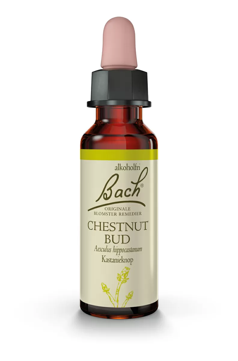 Bach Kastanieknop - 10 ml
