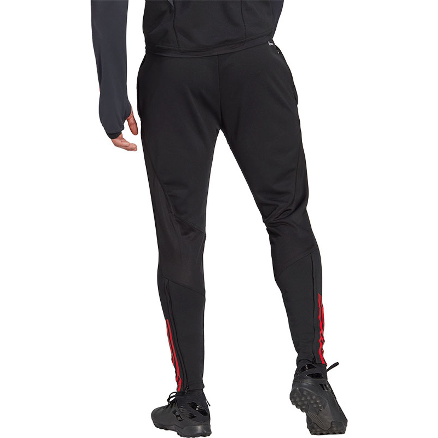 adidas België Trainingspak
