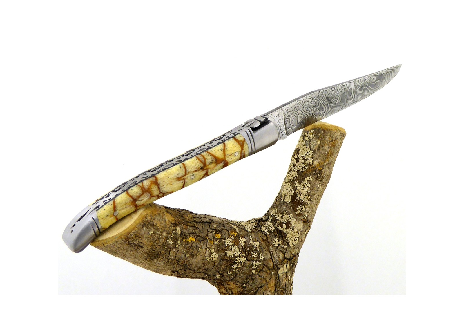 VENDU - Couteau Laguiole avec un manche en corail Fossile Tigré et une lame Damas