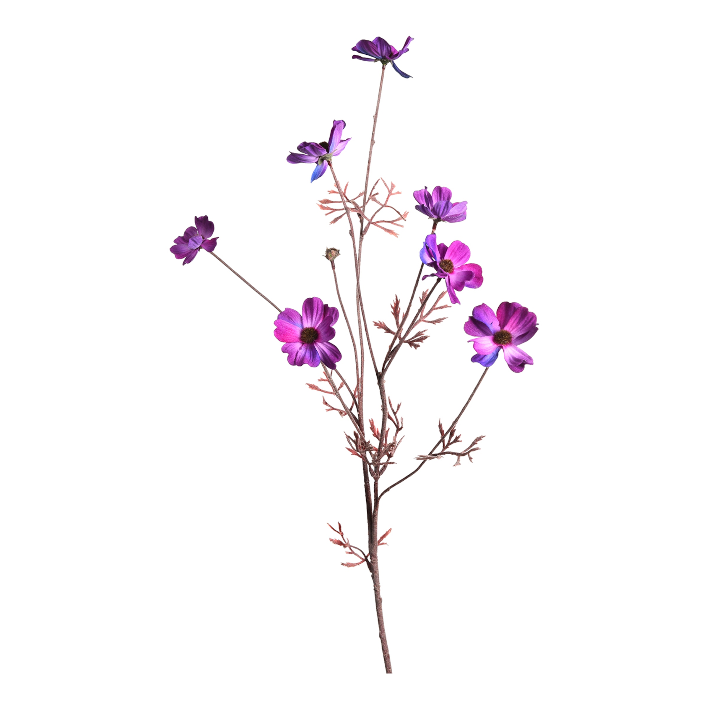 violett, L 76 cm