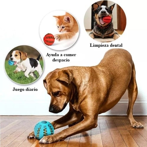 Bola MyPetCare para Cães, Verde
