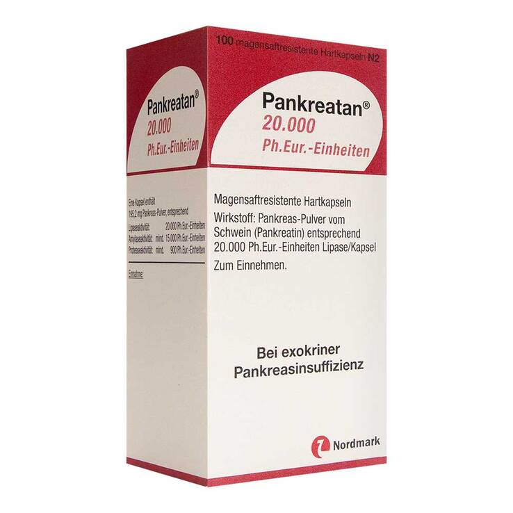 Pankreatan 20.000 Ph.Eur.-Einheiten magensaftresistent Hartkapseln , 100 St