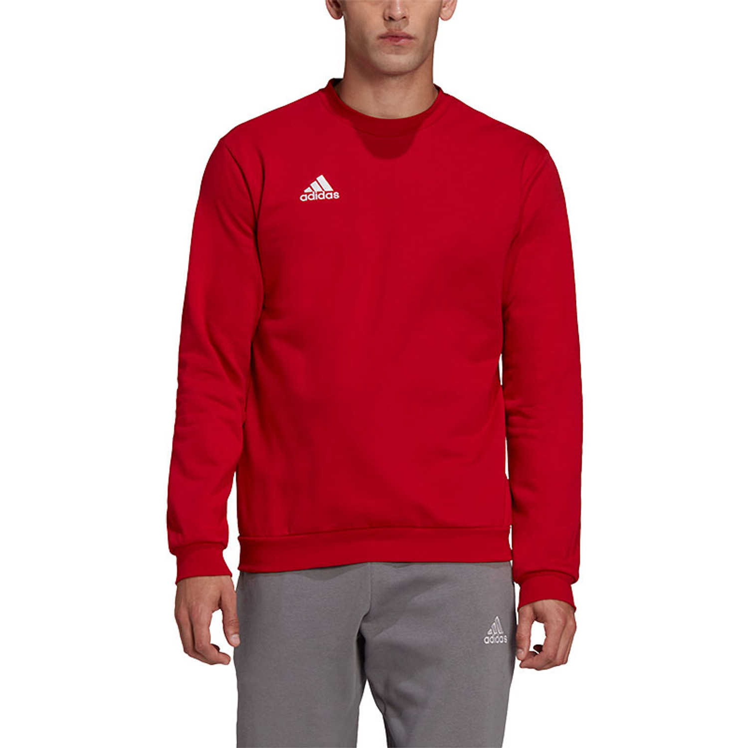 adidas Entrada 22 Sweat Trainingspak
