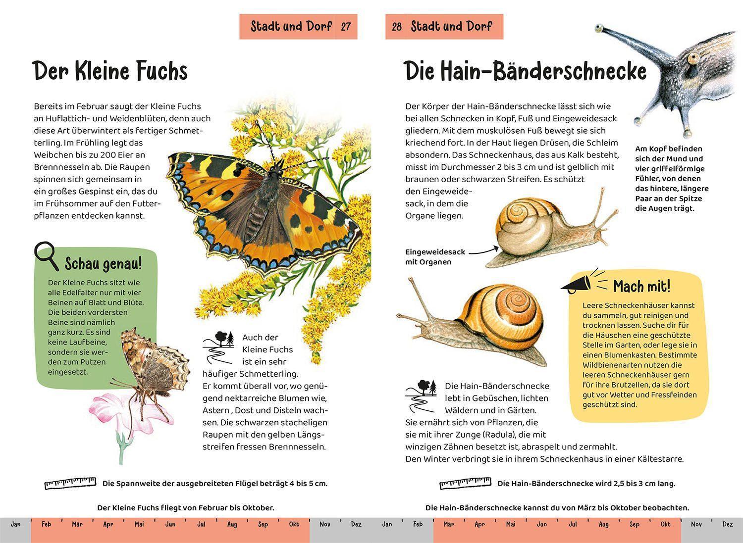 Tier- und Pflanzenführer. Kindernaturführer