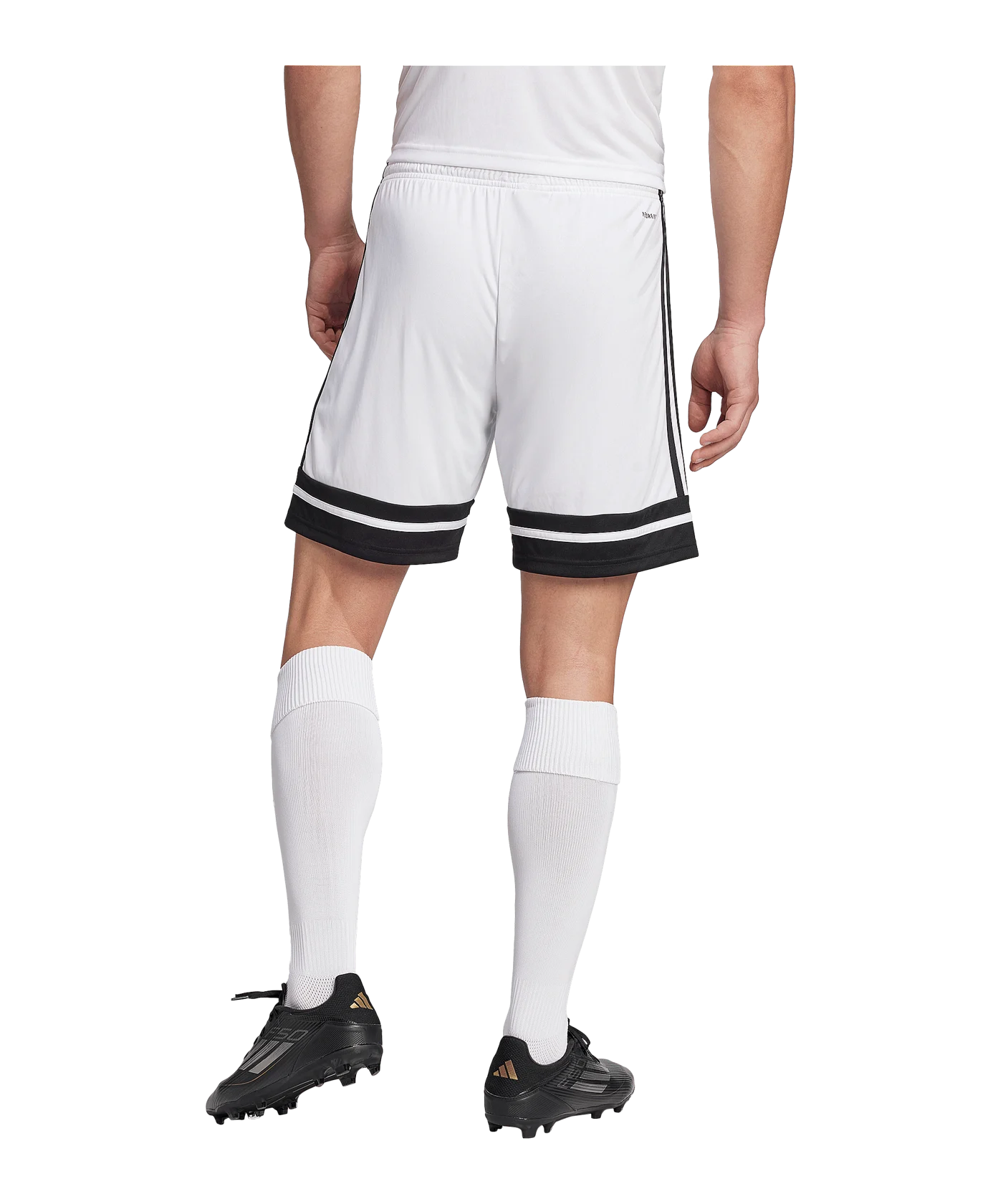adidas Squadra 25 Short Weiss