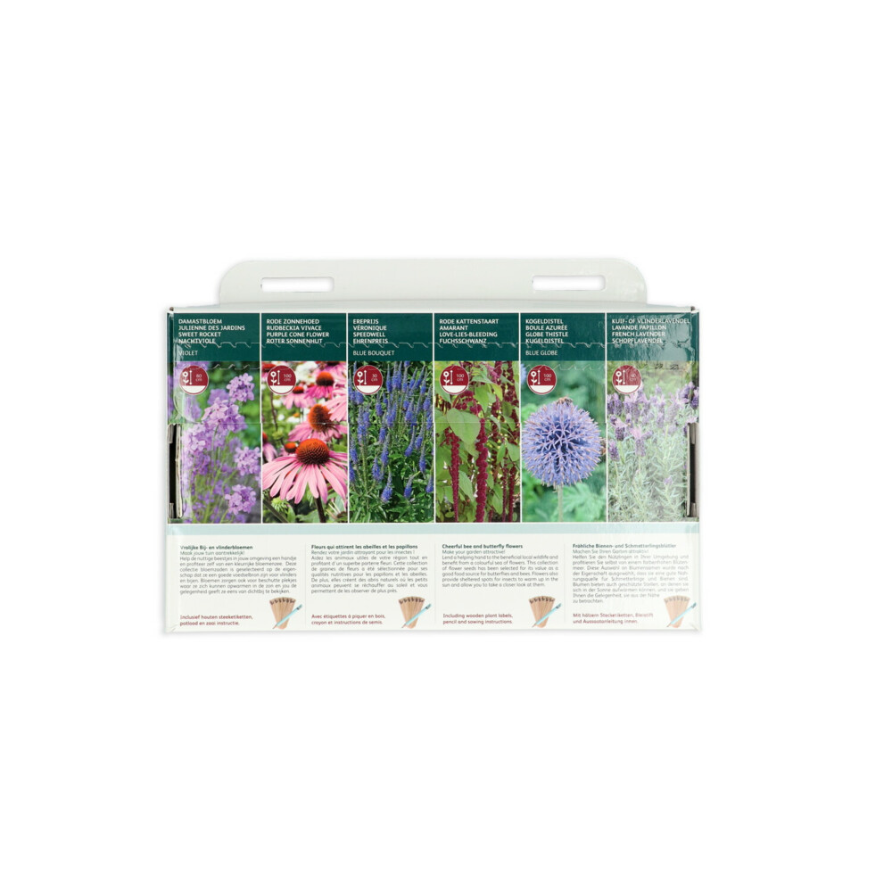 Buzzy Collection Kweekset 6 Vrolijke Bij- En Vlinderbloemen1 set