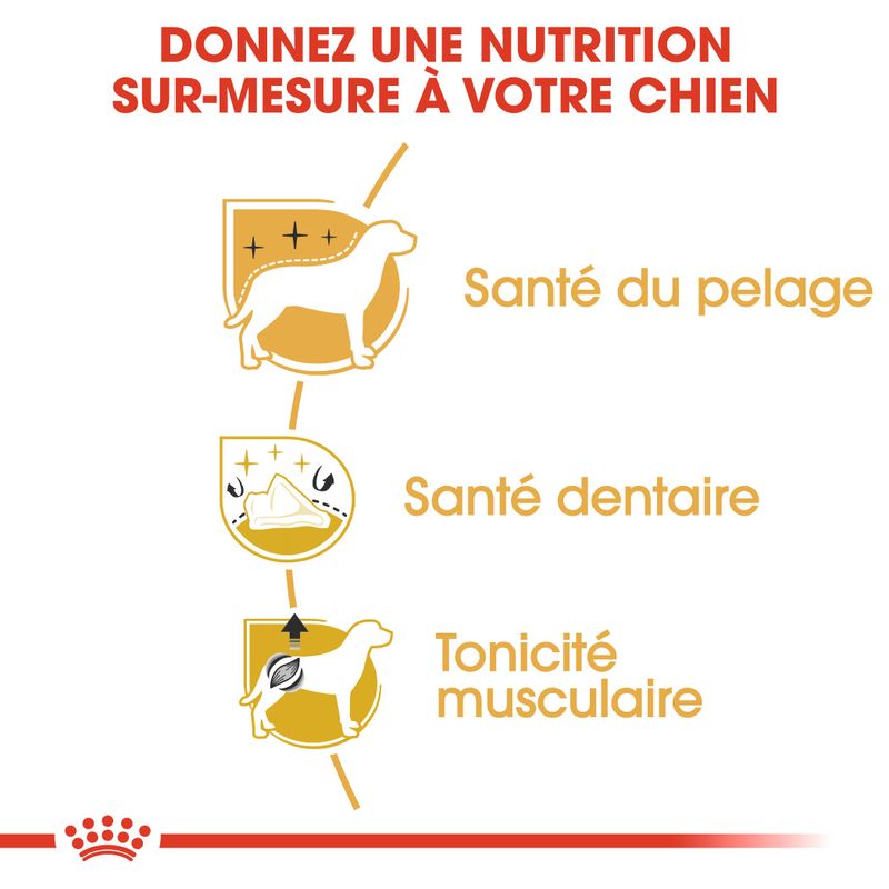 Royal Canin Caniche Adult