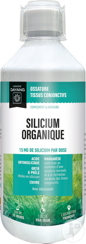 Dayang Silicium Organique Flacon 500ml Nf