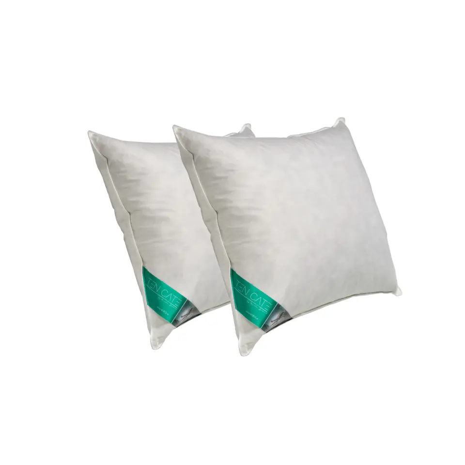 Ten Cate 100% Eendenveren Hoofdkussen - 60x70 - 2 stuks
