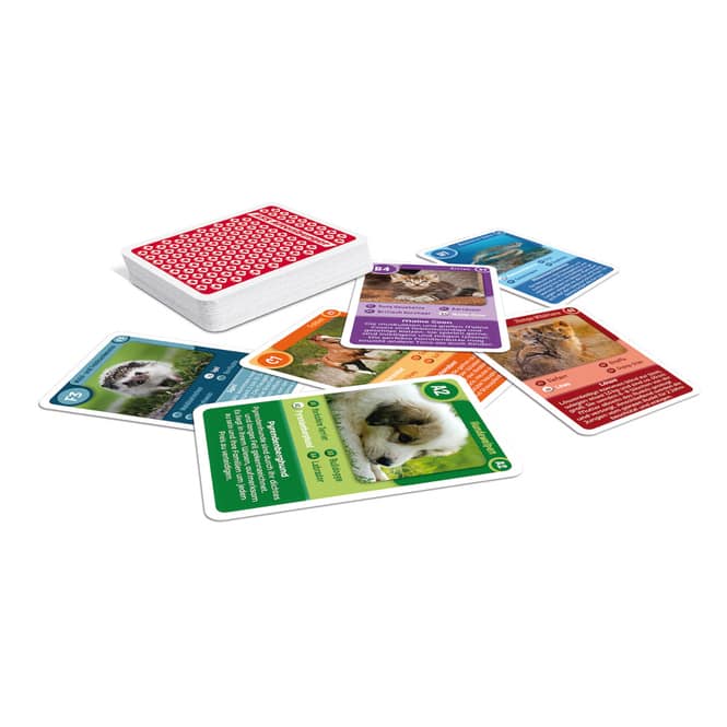 Quartett Tierkinder