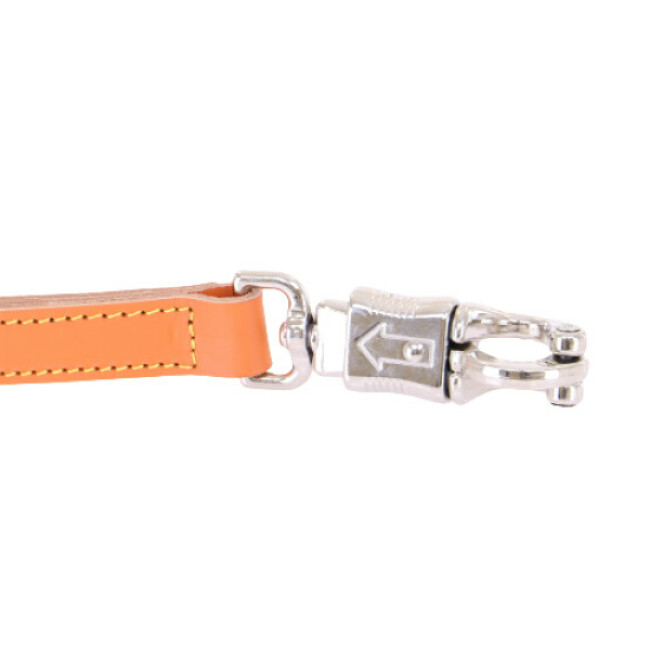 Laisse courte 50 cm en cuir pour chien