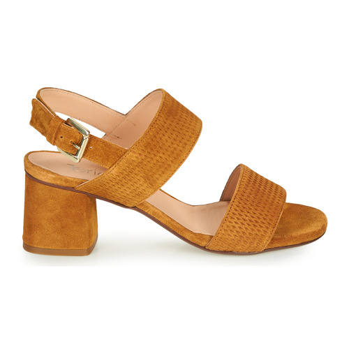 Fericelli - MARRAK - Camel