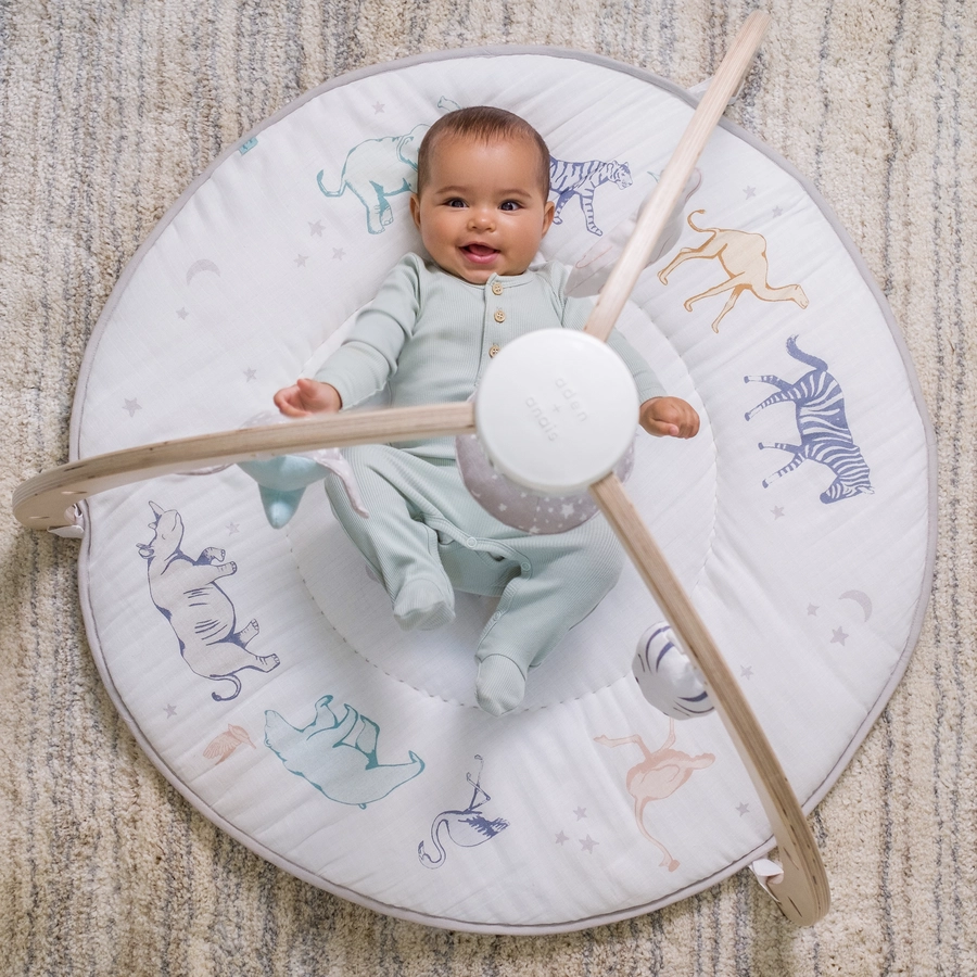 aden + anais™ Erlebnisdecke mit Spielbogen