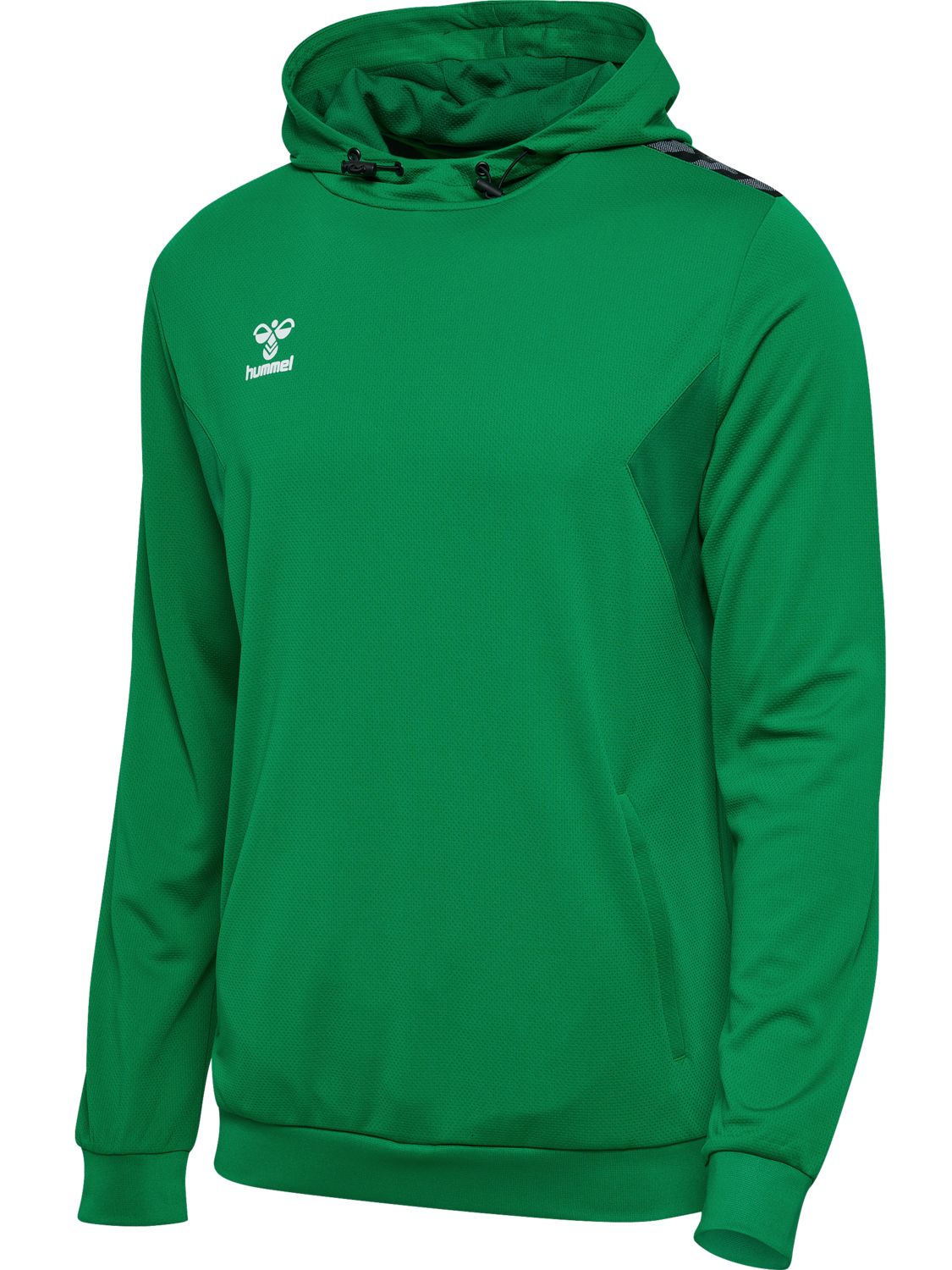 hmlAUTHENTIC PL HOODIE