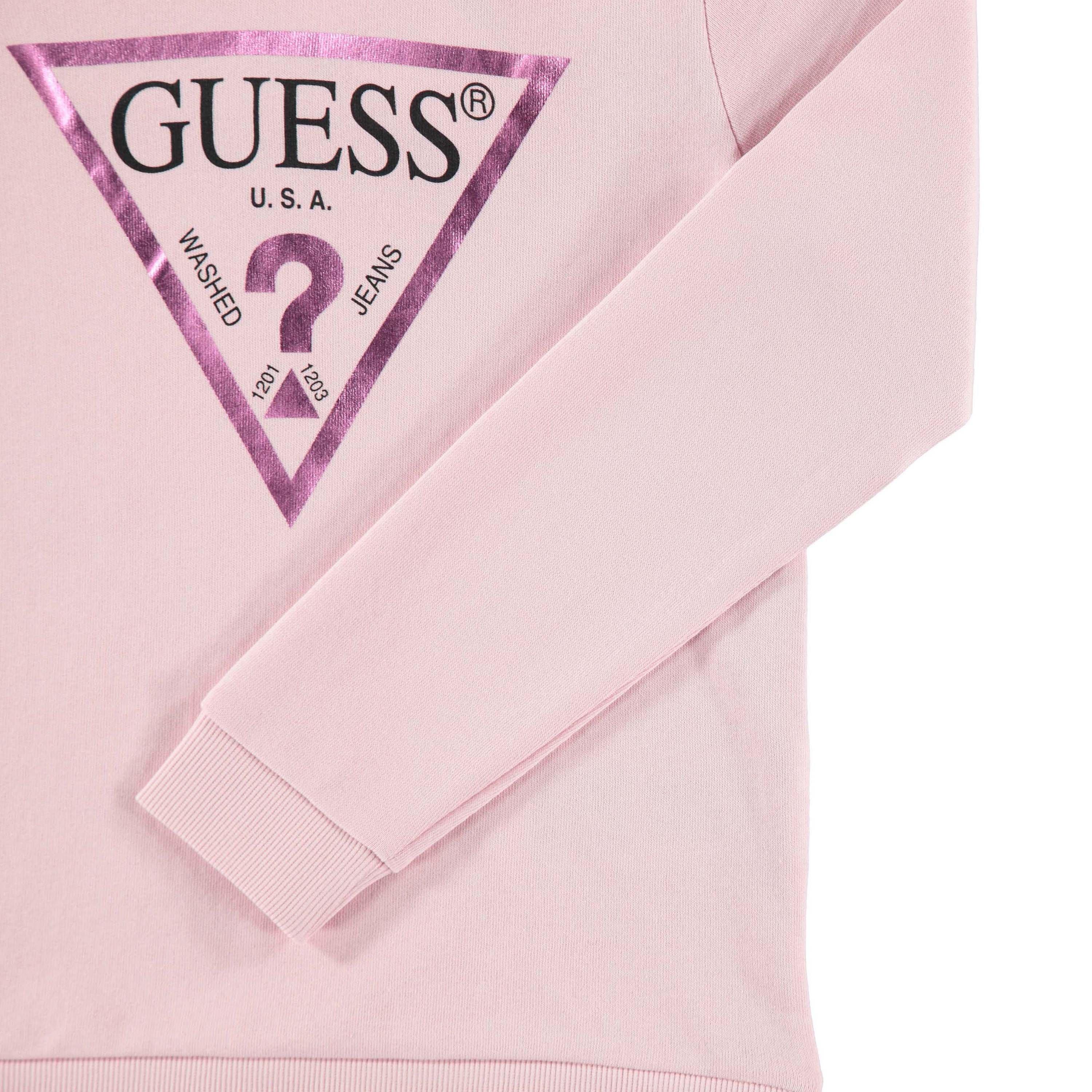 Guess Core Logo Hoodie