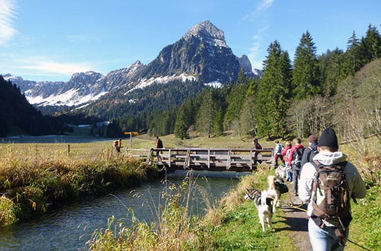 Husky-Trekking am Walensee