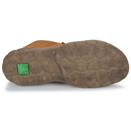 El Naturalista - TURTLE - Marron