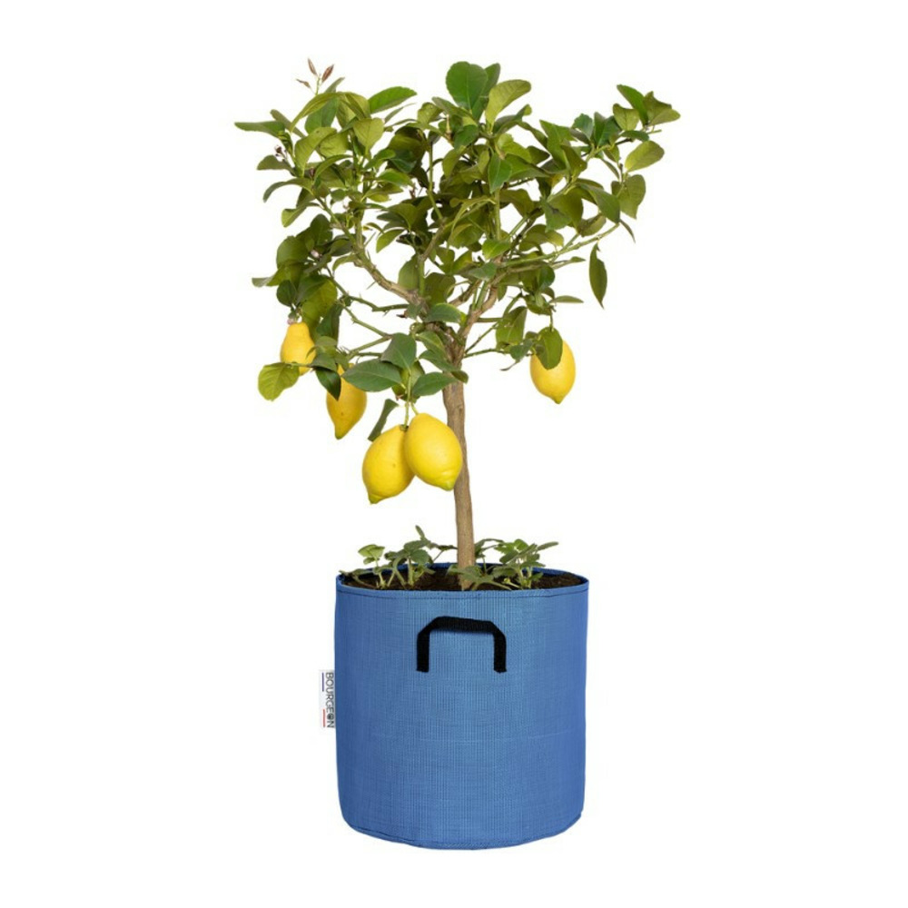 Sac pour plantations respirant 30 cm bleu