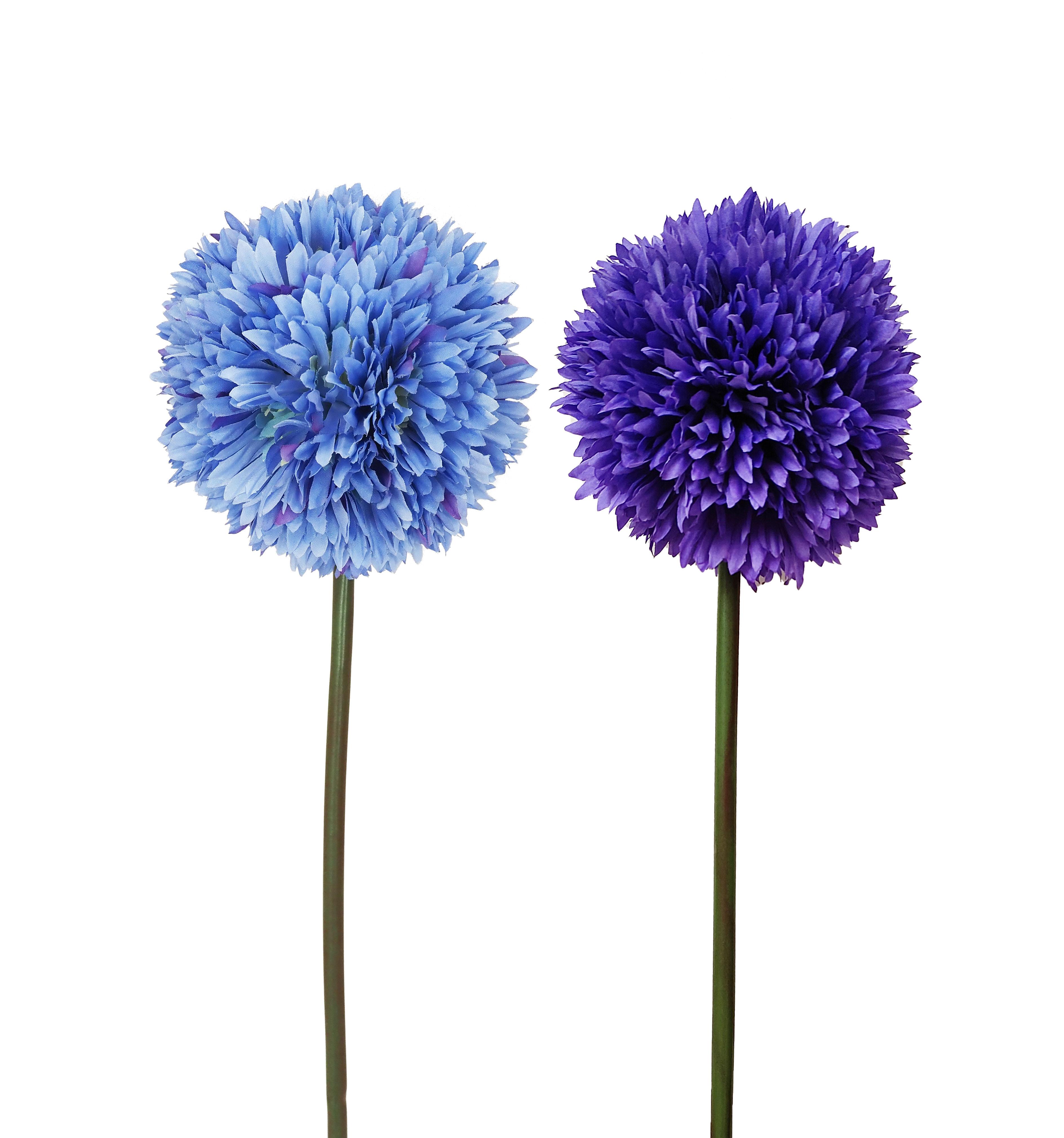 TIGE ALLIUM H.63CM BLEU
