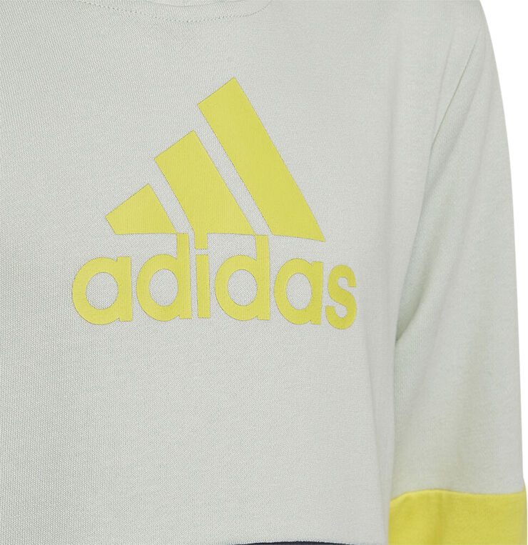 adidas Colourblock hættetrøje Multifarvet
