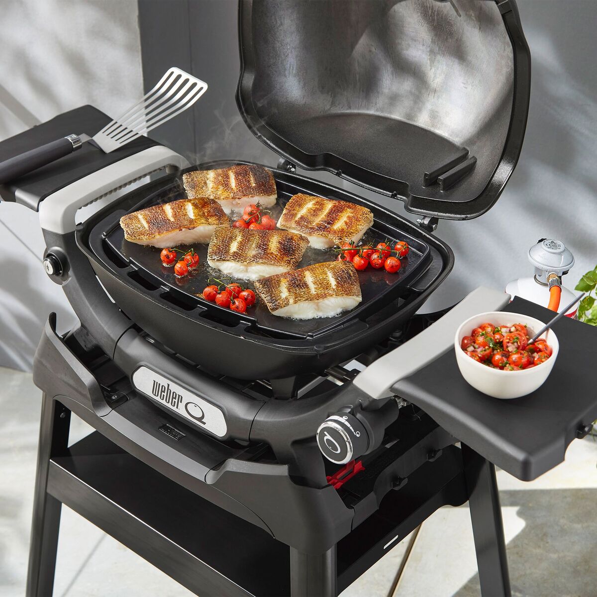 Fullstor stekeplate – Q1000N-serien