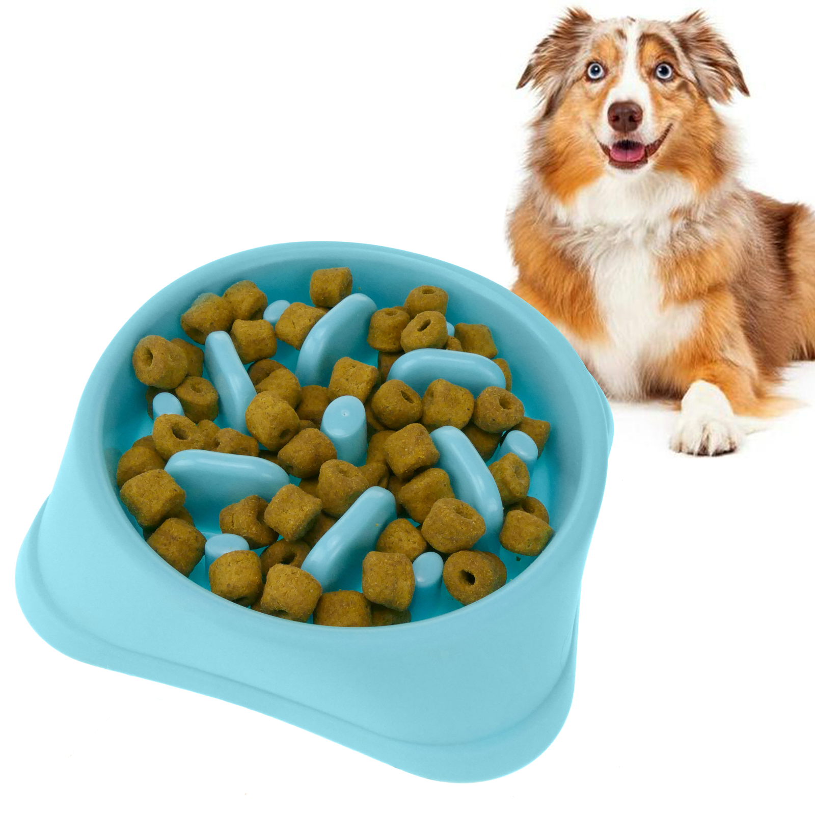 Comedouro lento para cães. Comedouro para animais de estimação com dieta controlada.