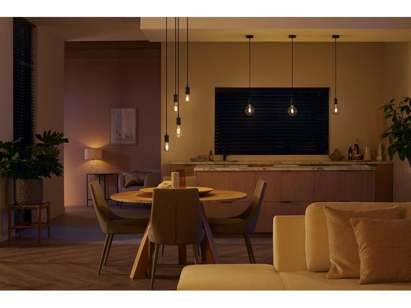 Philips Hue White Ambiance E27 Einzelpack Giant Globe Filam Filamentleuchtmittel mit E27 Sockel