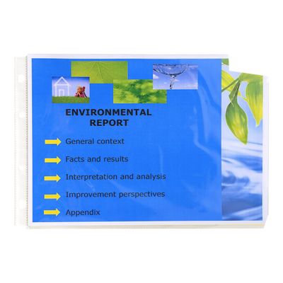 Exacompta Exactive - 20 Pochettes perforées - A4 paysage - cristal