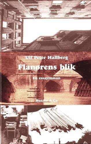 Flanørens Blik - Ulf Peter Hallberg - Bog