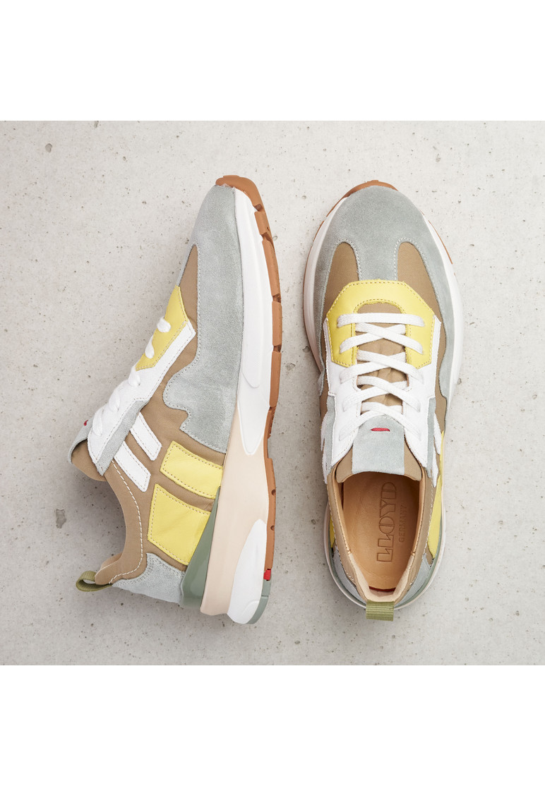 SNEAKER Multicolor