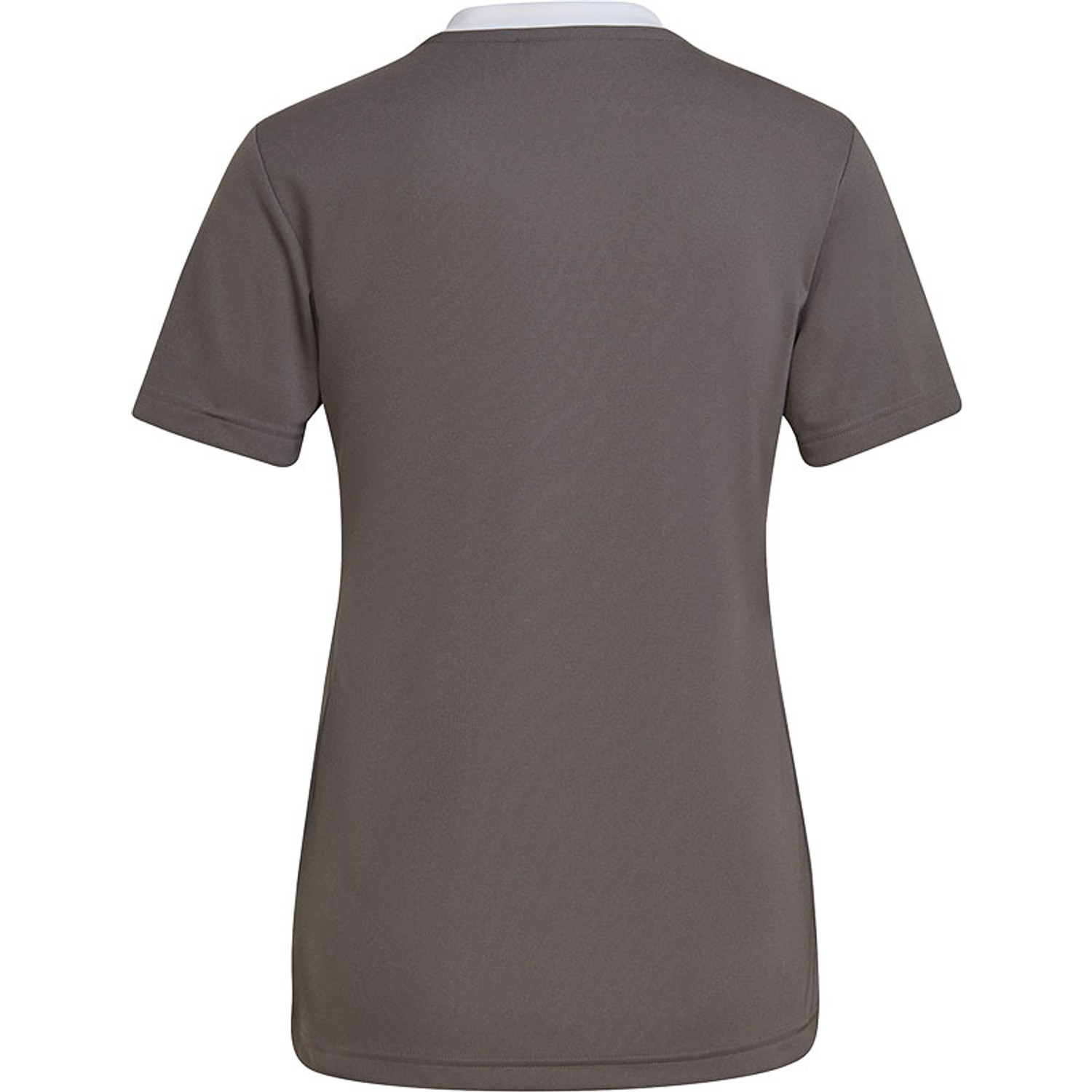 adidas Entrada 22 Training Shirt Dames