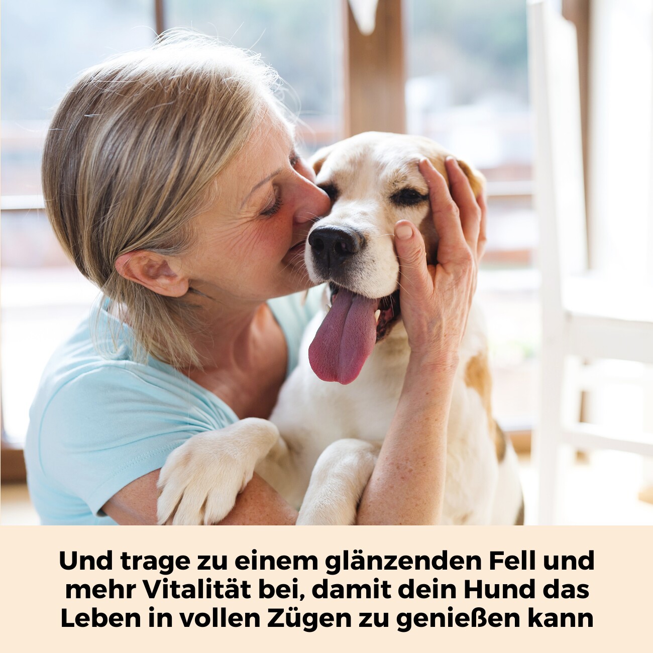 Dog-Native Wildfischöl für Hunde, natürliches Omega-3 Öl in Glasflasche mit EPA & DHA, Fischöl kein Lachsöl, Futteröl für Fell, Haut & Gelenke, Barf Zusatz mit Vitamin E, 500ml