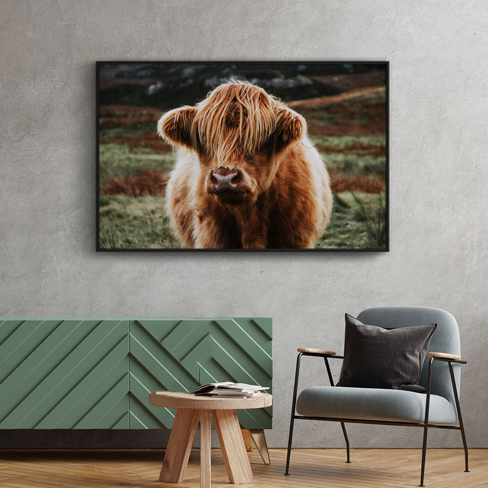 Walljar plexiglas schilderij - Schotse Hooglander Plexiglas schilderij - 60 x 90 cm