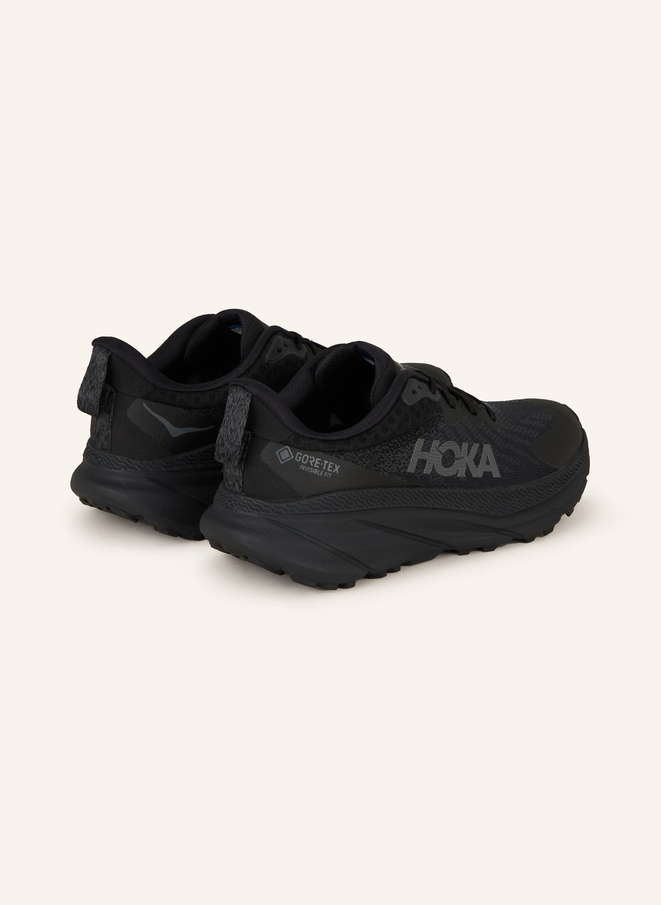HOKA Trailrunning-Schuhe CHALLENGER 7 GTX