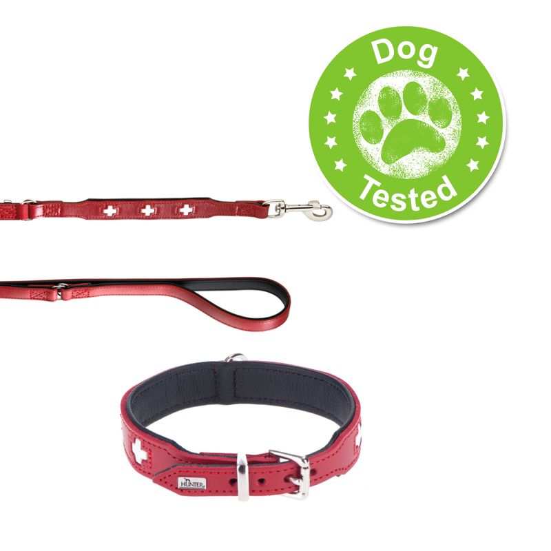 Lot Hunter : collier + laisse Swiss en cuir