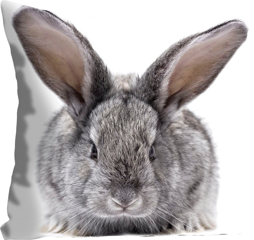 queence Dekokissen »Sixten« mit einem flauschigen Hasen