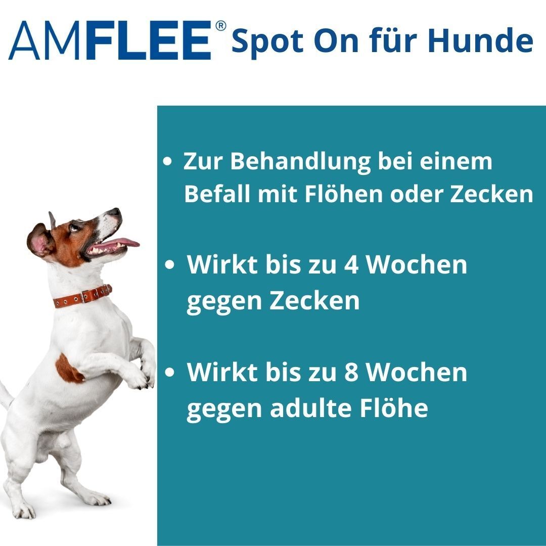 Amflee® 67 mg für kleine Hunde