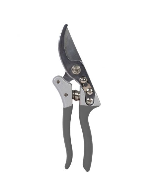 Talen Tools Snoeischaar Voorbijsnijdend Gesmeed High Quality - Snoeien - 21.5 cm per stuk