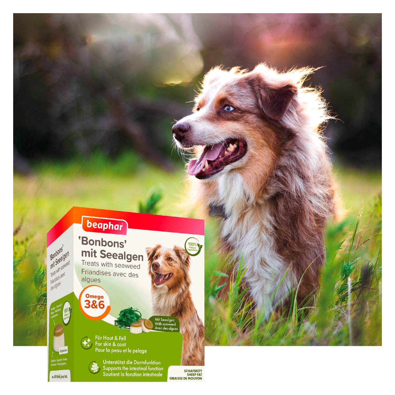 beaphar Bonbons für Hunde  - 245 g - Seealgen