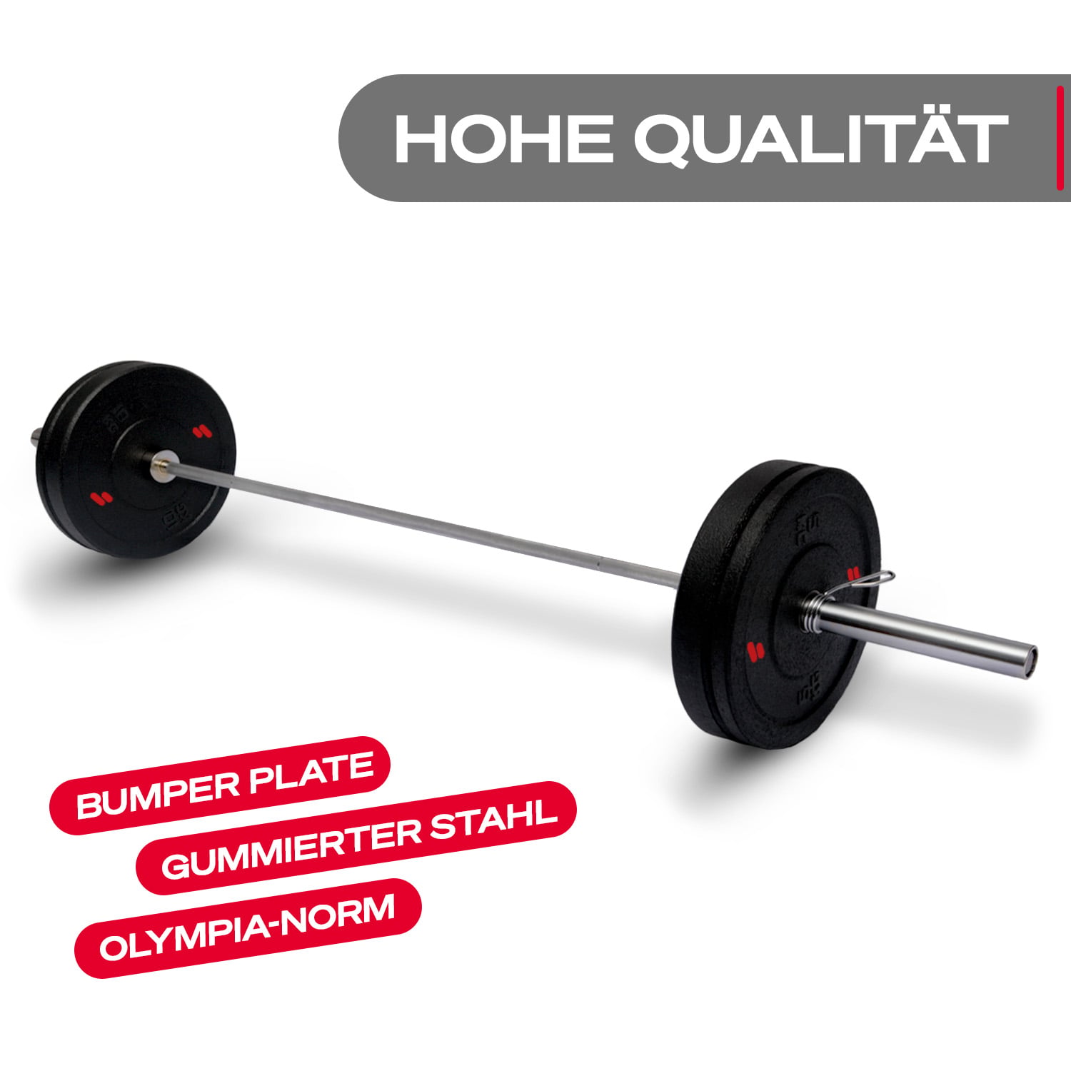 WP100 2x 10kg Hantelscheiben