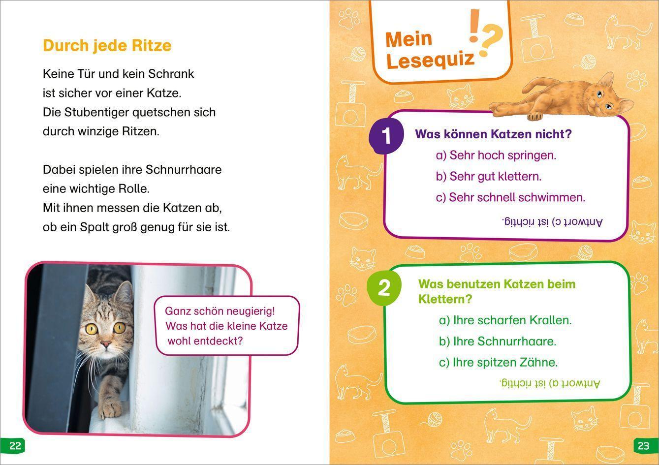 WAS IST WAS Erstes Lesen easy! / WAS IST WAS Erstes Lesen easy! Band 10. Katzen - meine Lieblingstiere
