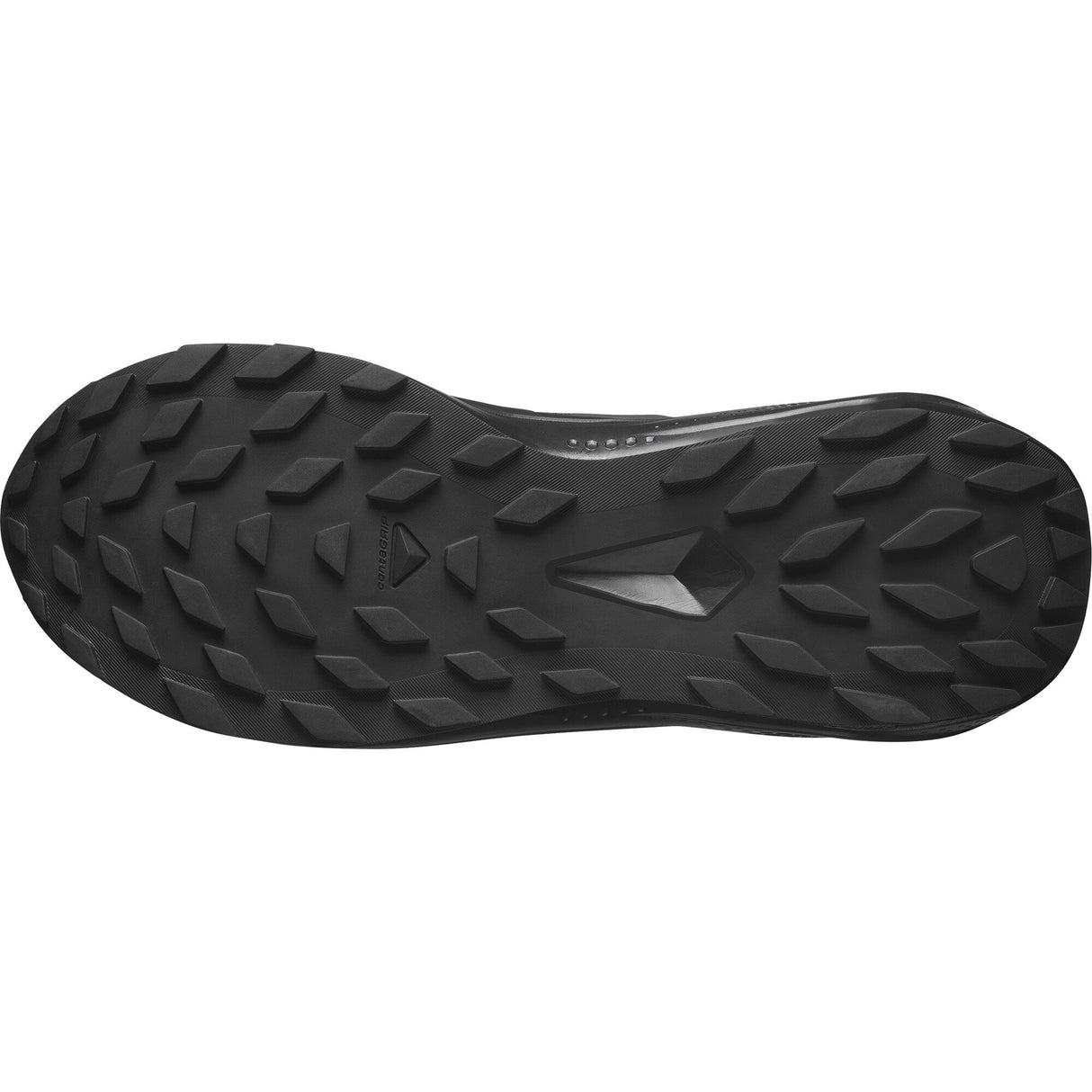 Salomon<br>Alphaglide GTX