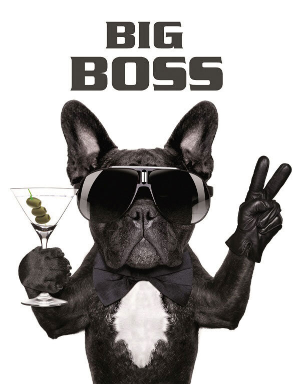 Keilrahmen Big Boss 46 x 61
