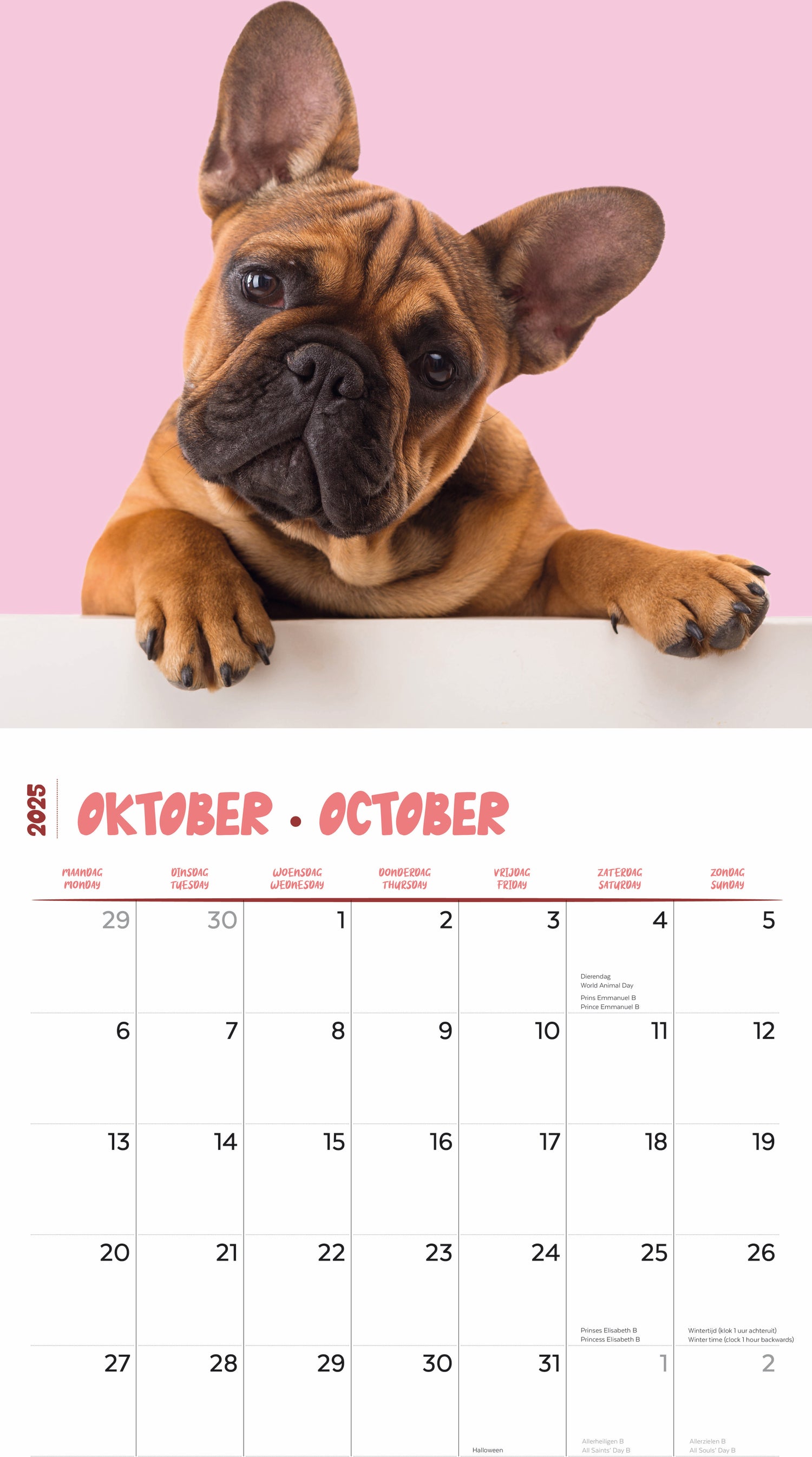 Plenty Gifts kalender franse bulldog 30 x 30 x 0,5 cm