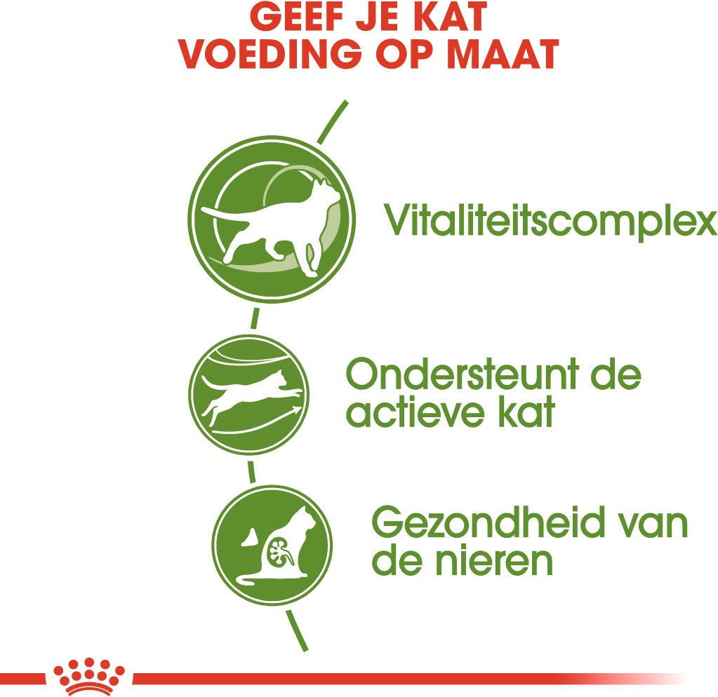 Royal Canin kattenvoer Outdoor 7+ 400 g