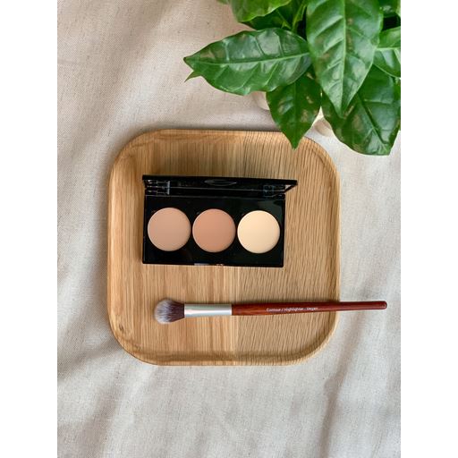 Sandstone Pro Contour Palette Fair