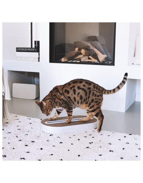District 70 Krabspeelgoed Track - Kattenspeelgoed - 52x26x6 cm Wit