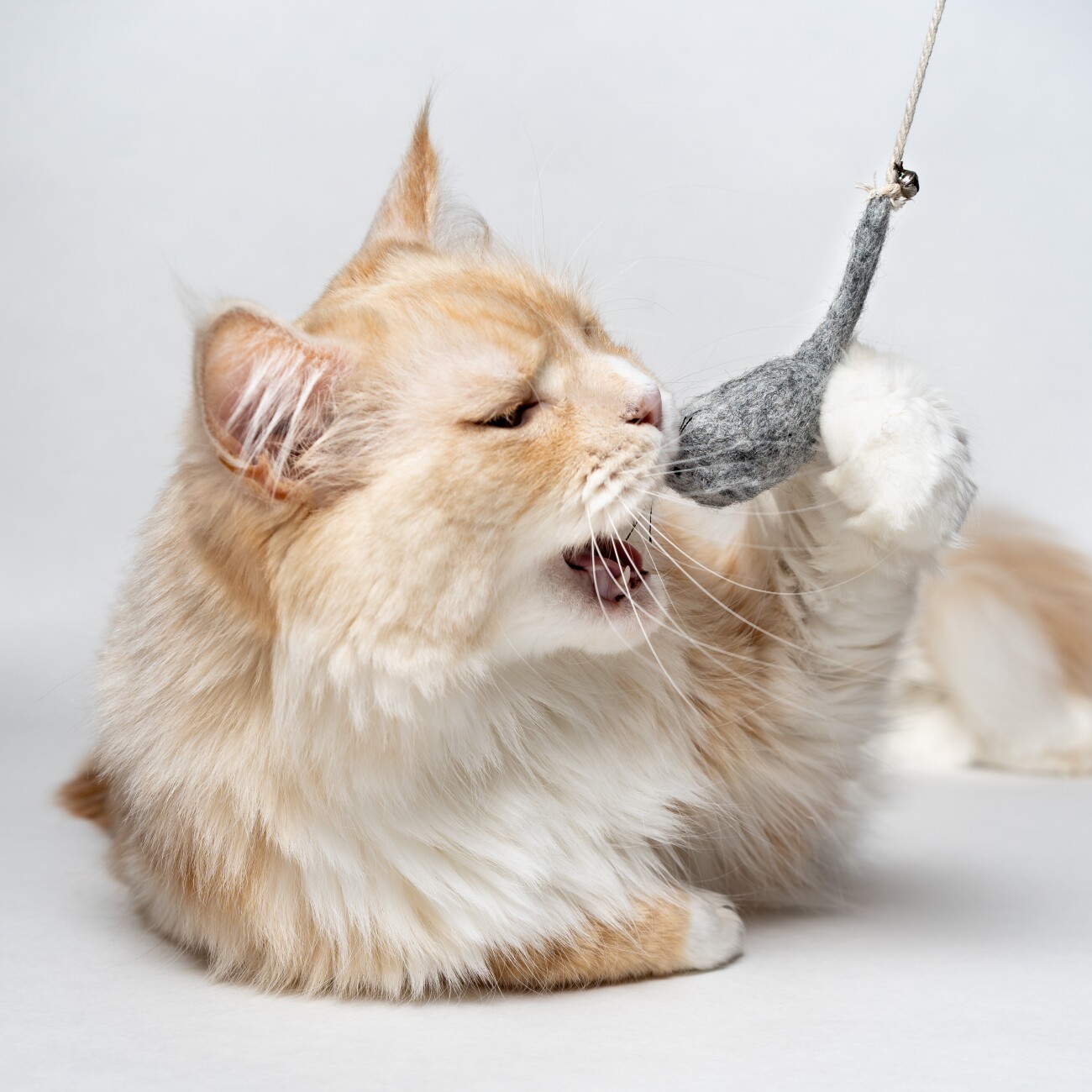 Catlabs Angelspielzeug Magische Maus aus Schafwolle & Bambus
