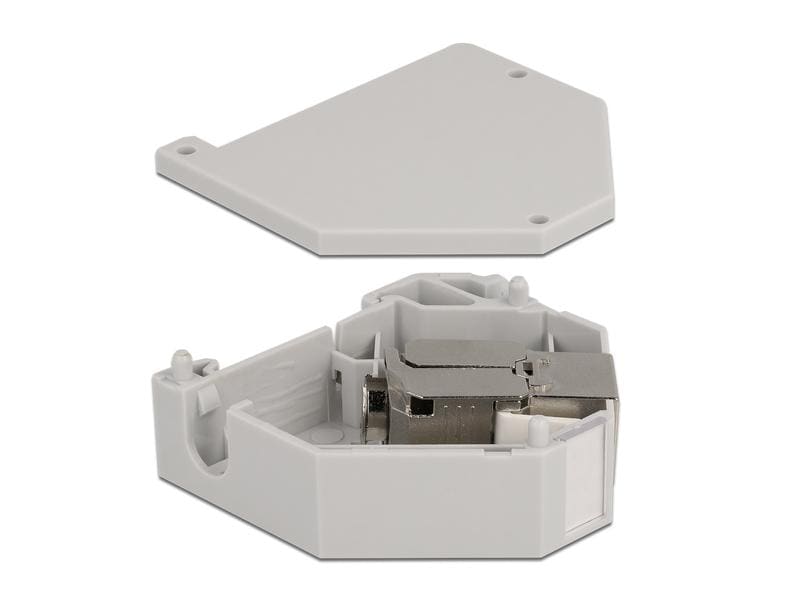 Delock Hutschienenhalter mit Keystone Modul RJ45 Buchse Cat Delock Hutschienenadapter mit Keystone Modul RJ45 Buchse Cat.6A LSA