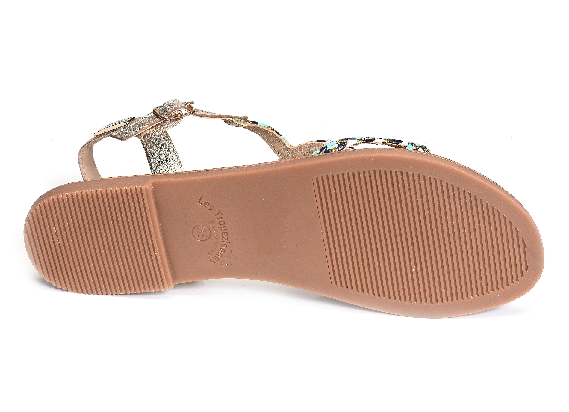 Cimona marine multicolore